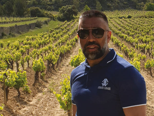 H, at the vineyard